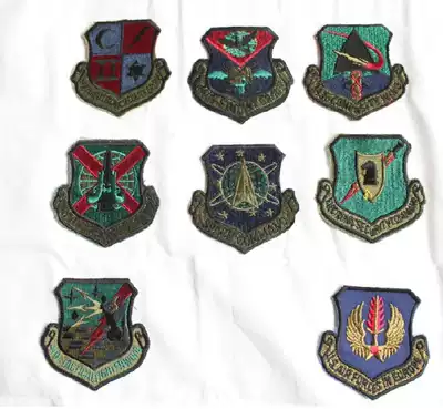 Beautiful flying wing badge