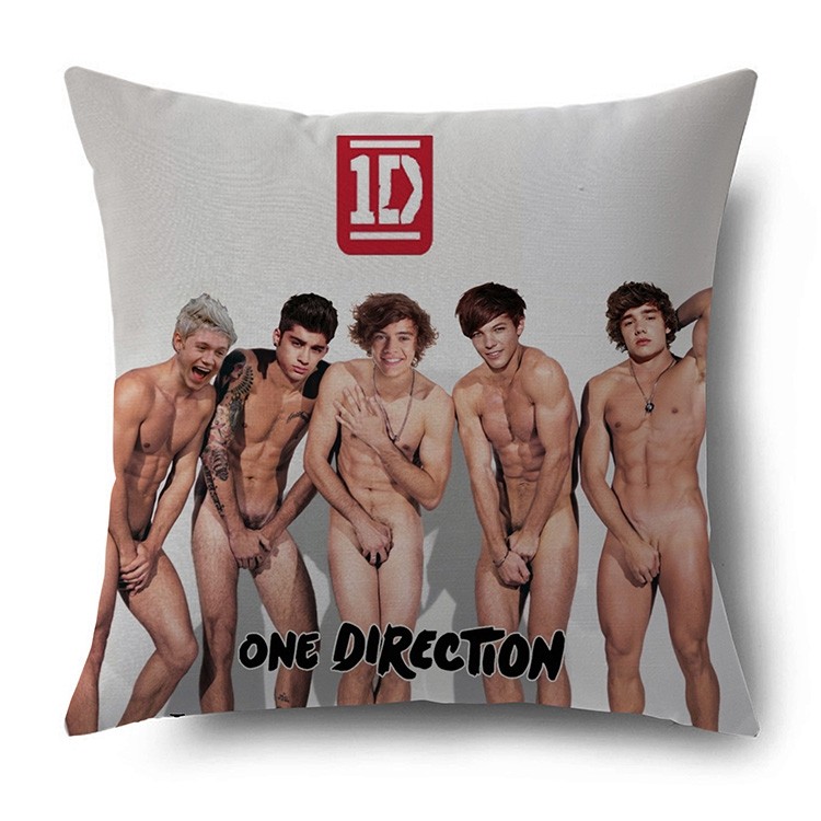 One direction 1D small broken group cushion double-sided big pillow official periphery DPW597