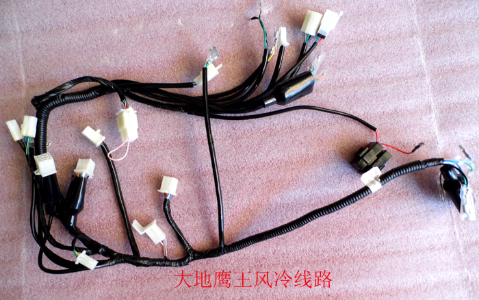 Earth Eagle King original DD150E-5DD250E-5 air cooling line circuit (DC igniter)