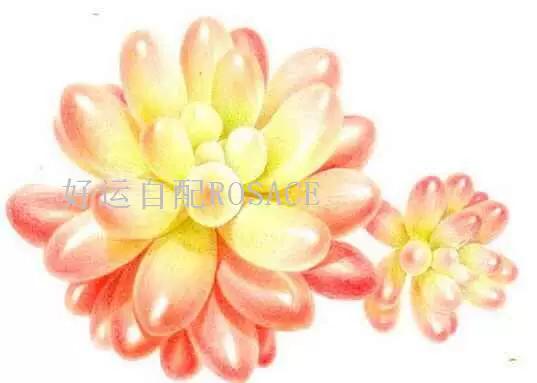 Товары от wfwyn08