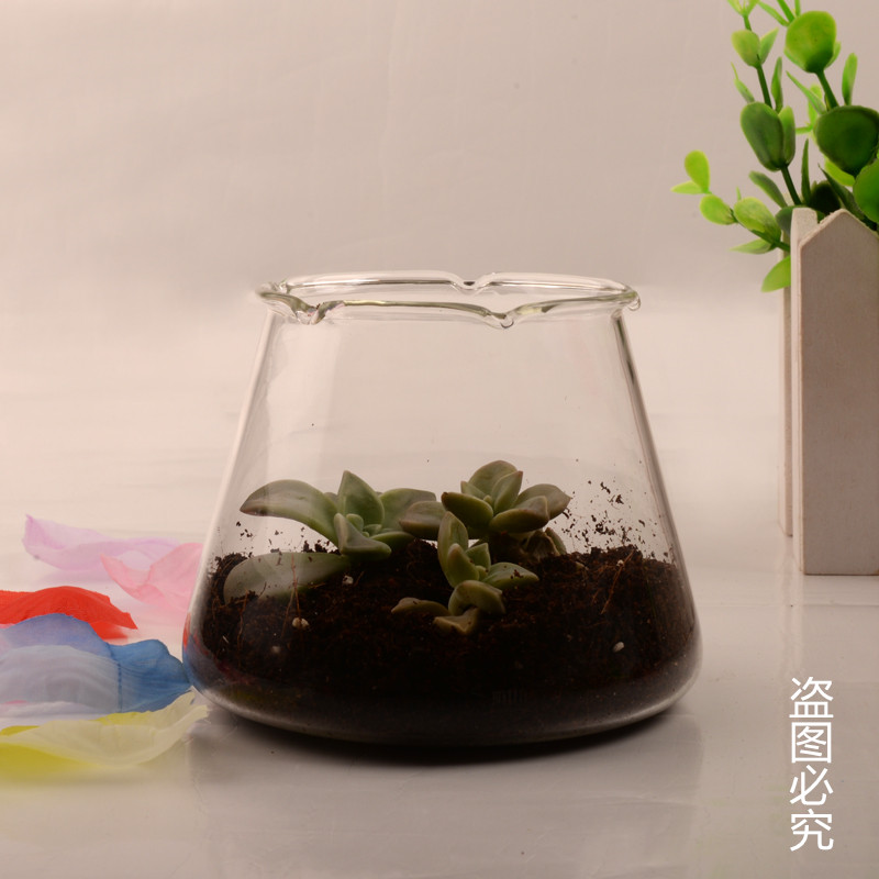 Minimalist transparent glass round small vase office Decorative Pendulum decorated hydroponic craft gift hem