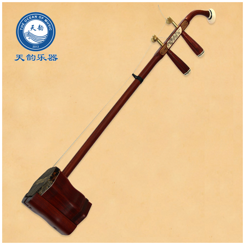 Erhu musical instrument professional mahogany bone carving Beginner beginner practice General performance grade Adult children's Huqin