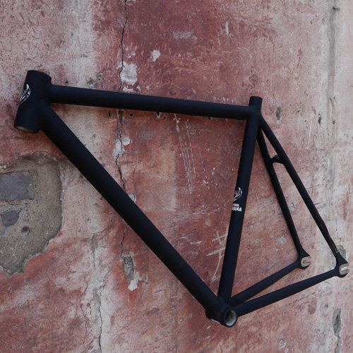 (Dead Flying Fixed Gear) Flying Banana custom aluminum frame and front fork