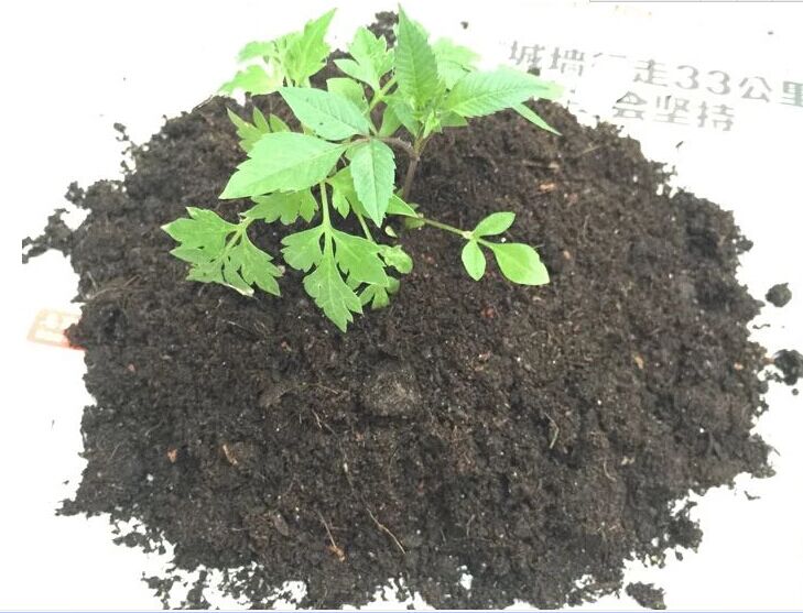 Universal organic nutrient soil large-covered with flower soil and soil matrix to grow soil chicken manure organic multimeat soil