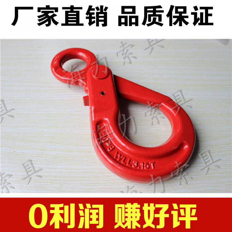 G80 Eye Type Safety Hook American Eye Type Self Lock Hook Ring Eye Hook Safety Lifting Hook 1-31 5 ton