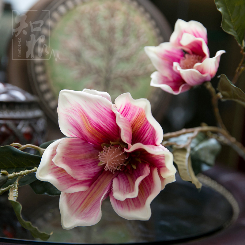 ֪�����滨������YL-005