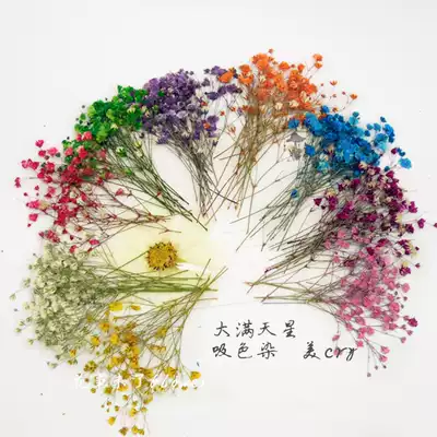 Color-absorbing big starry flower embossed dry flower drops glue dry flower mobile phone Protective case plant teaching specimens 8 packs