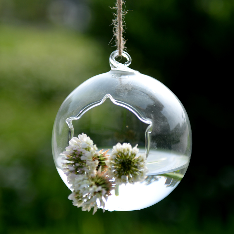 Hanging Glass Vase Multi-Meat Plant Vase Microscape Bottle Pentagram Water Pewter Round Pendant Bottle