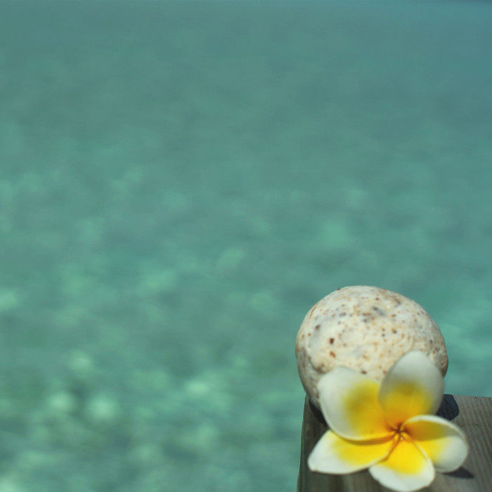 Bai Cheng Sun light blood glutinous rice cake Stunning white also tender forest garden inspiration works Whole food into the kitchen