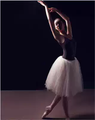 Professional adult Tutu Practice Jumpsuit TUTU skirt Suspender half-gauze skirt Gymnastics suit Personal photo suit