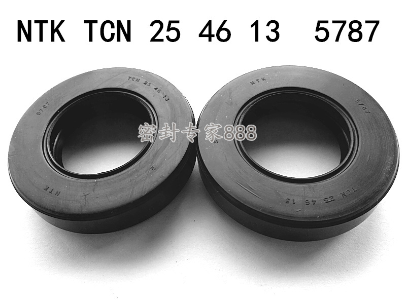 Imported High-Pressure Resistant Ntk Tcn 25*46*13 5787 Oil Pump Oil Seal Hydraulic Motor Seal Ring Seal Parts