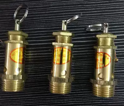 3KW semi-automatic electric heating steam generator boiler accessories 4 points safety valve boiler valve