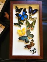 Original butterfly specimen art modeling ~ specimen home decoration frame ~ Smurfs Phoenix butterfly gift