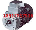 Three-phase asynchronous AC micro motor motor motor variable frequency motor YS100L1-4 2 2KW