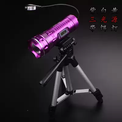 Variable focus charging with bracket bait light Night fishing light Blue purple light three-light source fishing light