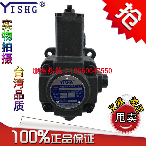 YISHG VHIF-F-25-C F-30-C F-40-C Vane Pump