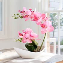 Home decoration flower silk flower fake flower simulation flower potted Phalaenopsis living room TV cabinet coffee table table floral ornaments