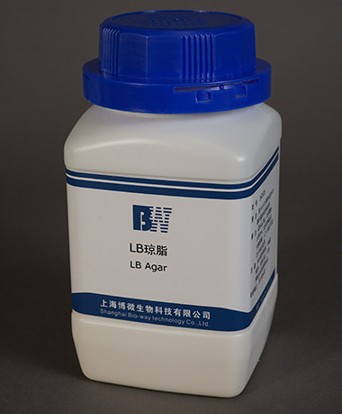 LB琼脂培养基250g 上海 基因工程大肠杆菌培养基