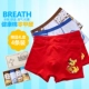 100% cotton trong quần lót trẻ em lớn cho bé trai 12-15 tuổi 10 võ sĩ trẻ em 8 bé trai bốn góc 13 quần short học sinh Võ sĩ quyền Anh