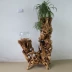 Bộ sưu tập Root Art Root khắc Rhododendron Root Tree Khung cây hai lớp Cơ sở đá rắn Gỗ Root khắc trang trí phòng khách - Các món ăn khao khát gốc bộ bàn ghế gỗ gốc cây Các món ăn khao khát gốc