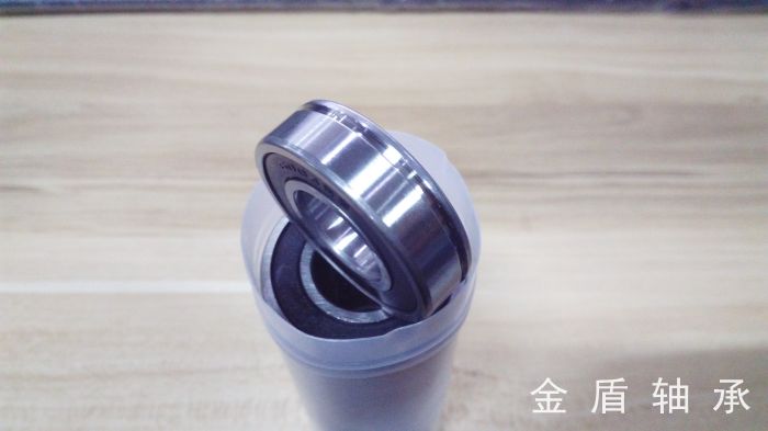 Bearing with a spring groove 6000 6001 6001 6002 6003 6005 6006 6007 6008 RS