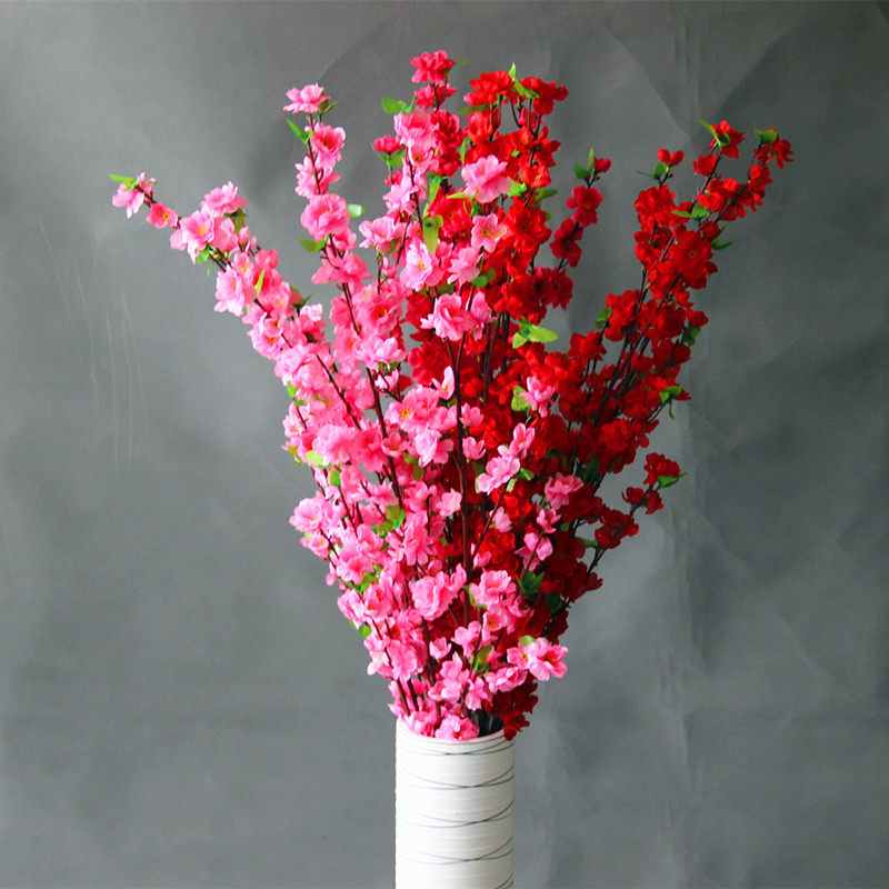 �����һ����滨�ٻ�12