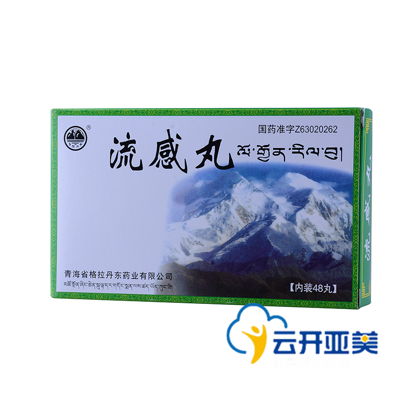 格拉丹东 流感丸 0.25g*48丸/盒