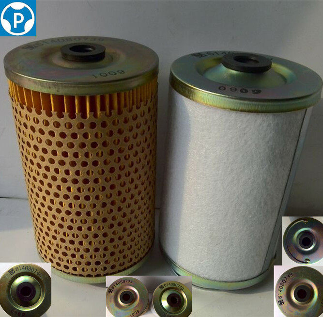 614080739 diesel filter element 614080740 suitable for Weichai Steyr