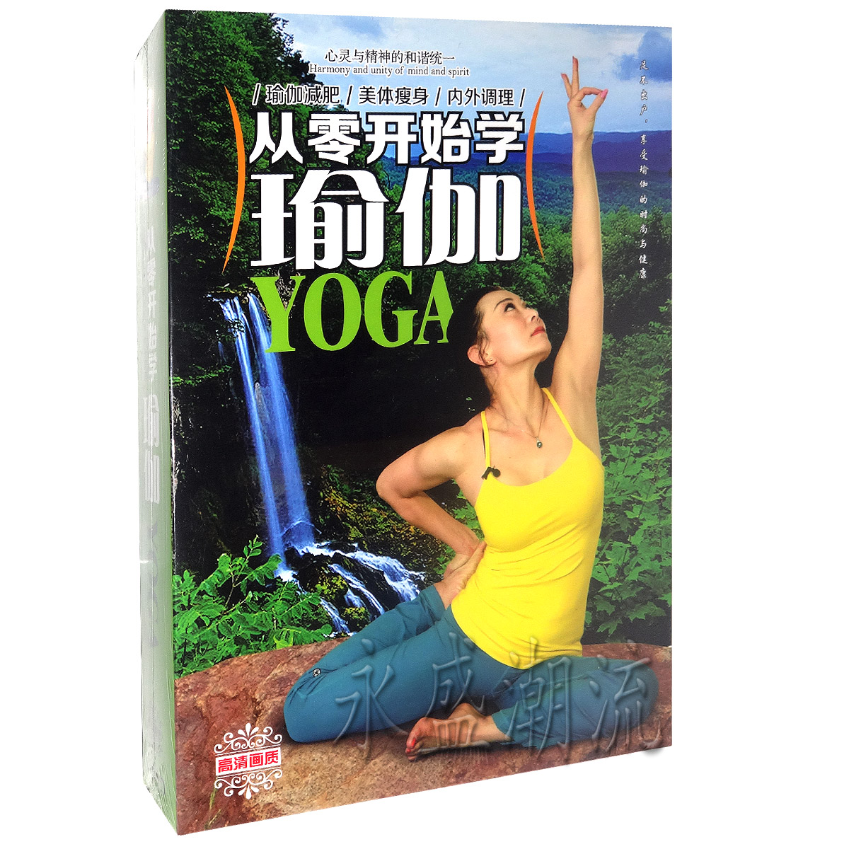 正版包邮高清画质杨爱党从零开始学瑜珈8DVD初级入门教学视频光盘