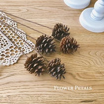 Pine cones dried flowers natural pine cones head living room home decoration dried flowers eternal flowers diy flower arrangement ornaments vintage