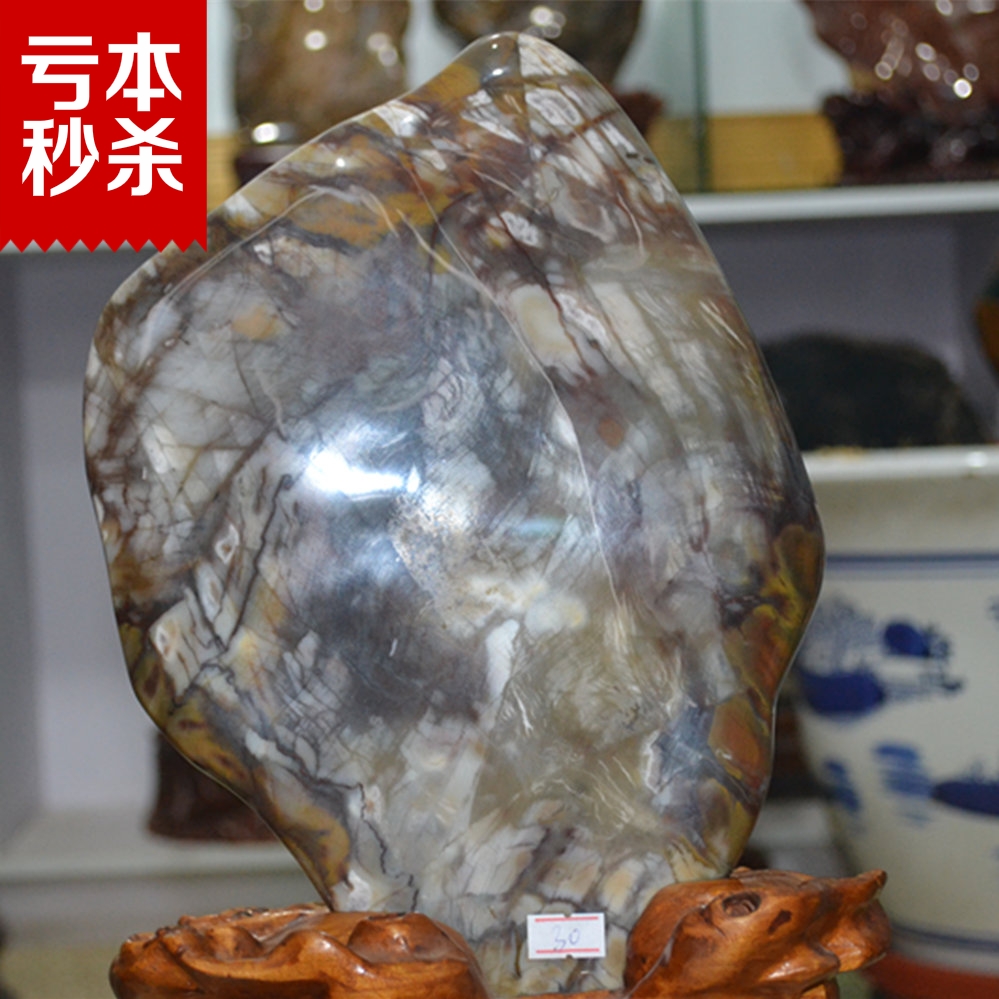 Boutique Liaoxi Chaoyang tree, jade wood, jade rough stone collection, ornamental ornaments, sightseeing stone fine polishing