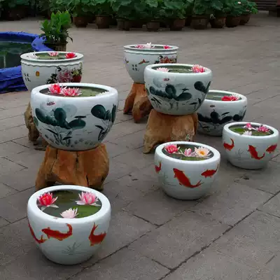 Mini water lily balcony pond hydroponic aquatic plant water lily root block bowl lotus lotus flower green plant pot