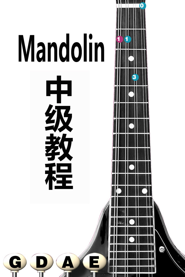 Mandolin Junior Intermediate