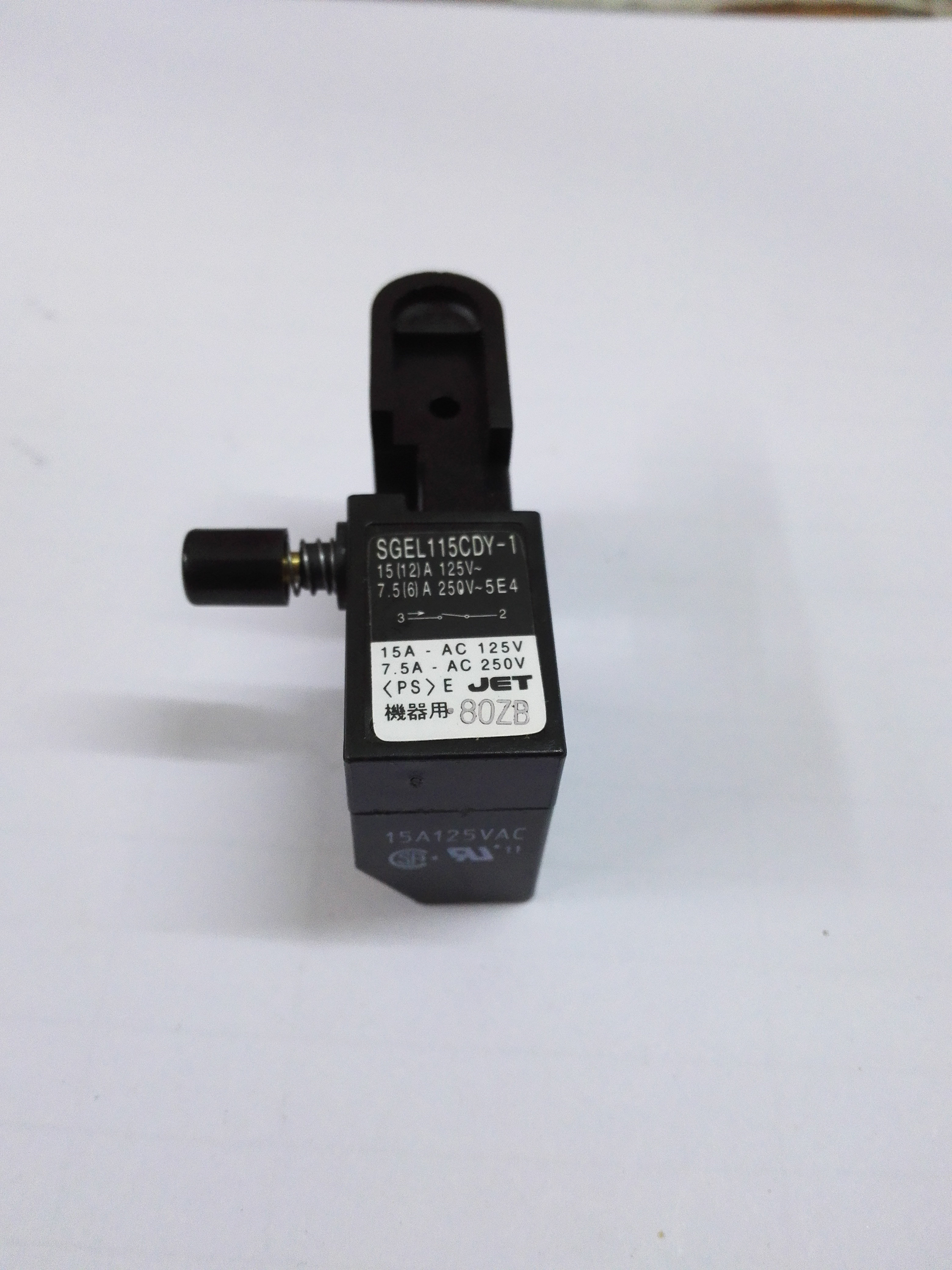 Ryobi PE-2100 polishing machine switch