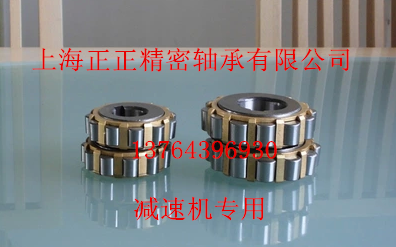 Special eccentric bearing 130752305K reducer 130752305K 150752305K 150752305K 200752305K