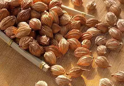 Spice Whole Sichuan Amomum Sand Salen High quality Sichuan specialty stewed meat stewed vegetable seasoning 500g