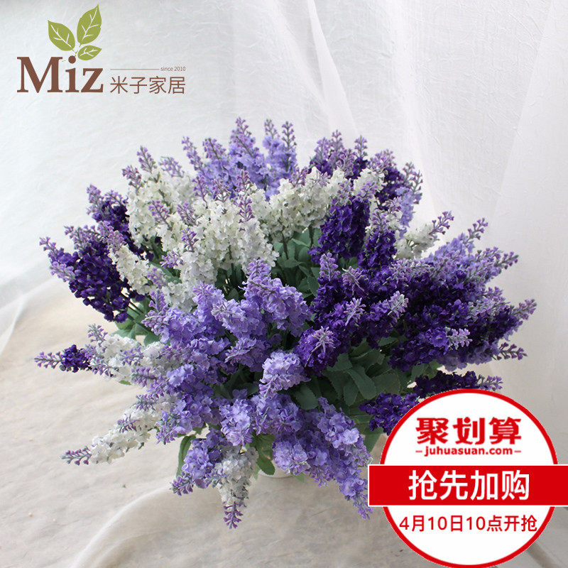 ���ӼҾӷ���޹�²�10ͷ