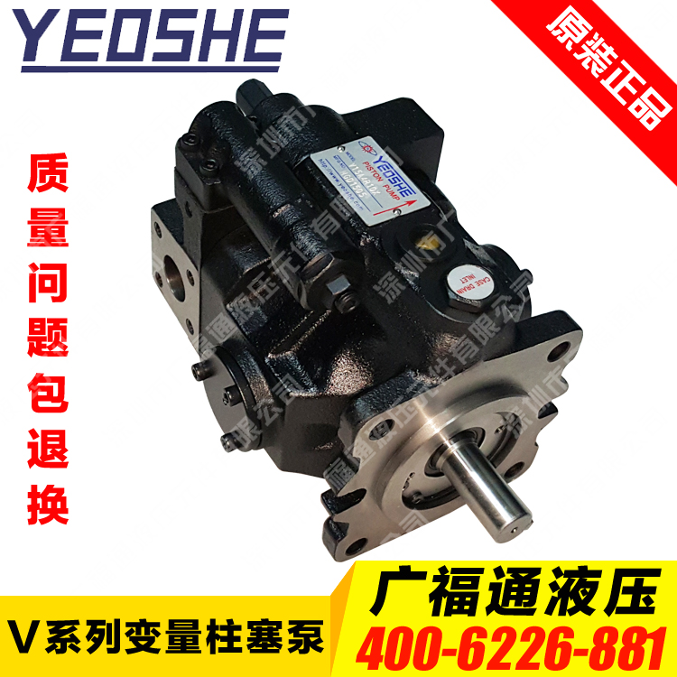 Taiwan Original Loaded Plunger Pump V18A2L10XV18A2R10X Blow Bottle Machine Electric Oil Pumping Pump