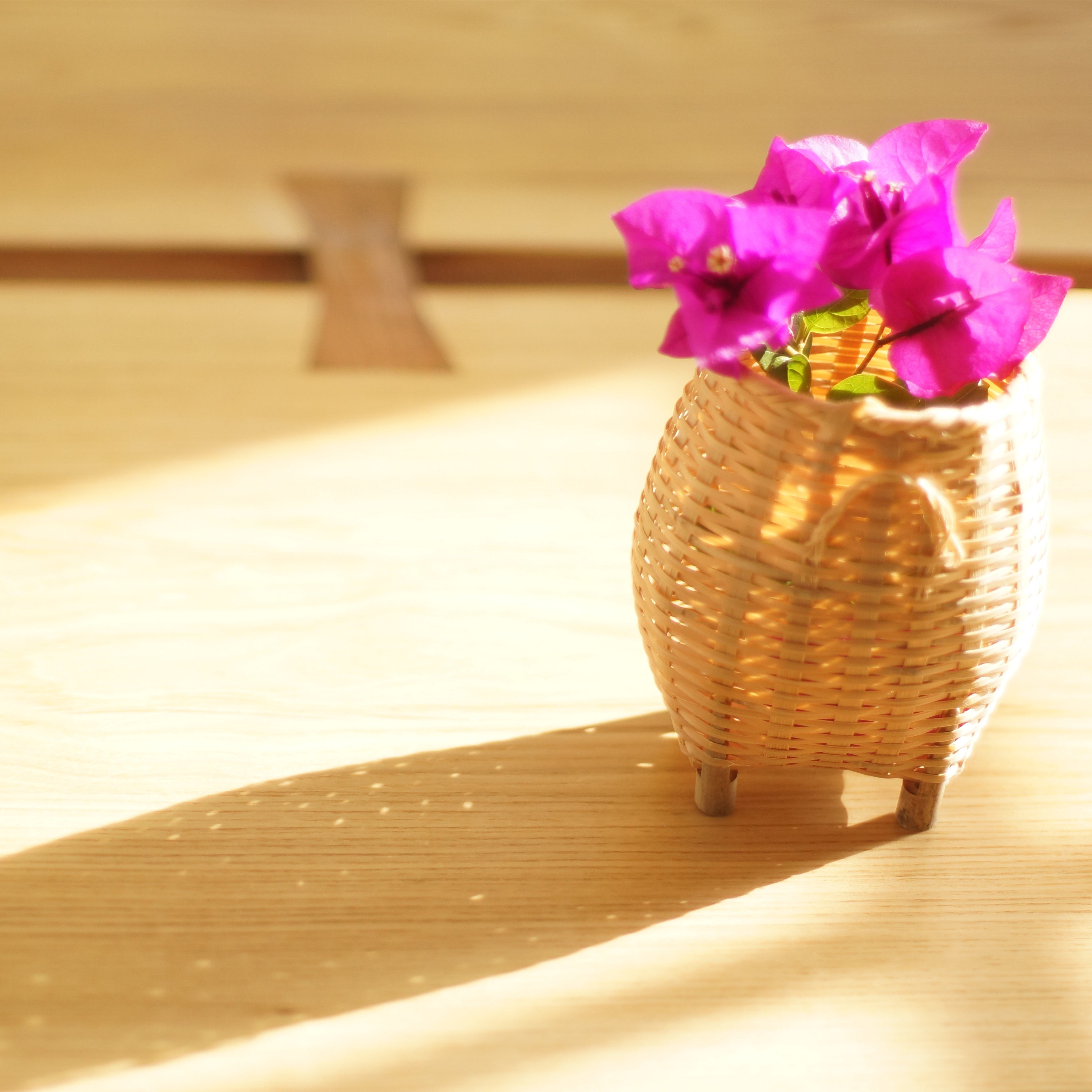 Gifts for furry kids cat and dog shower gel