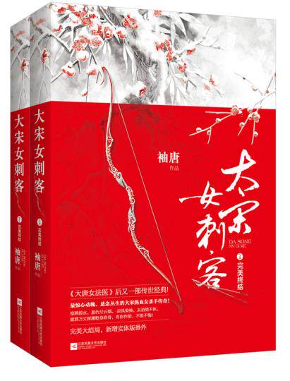 正版包邮大宋女刺客完美终结正版图书书籍 特价书 较旧