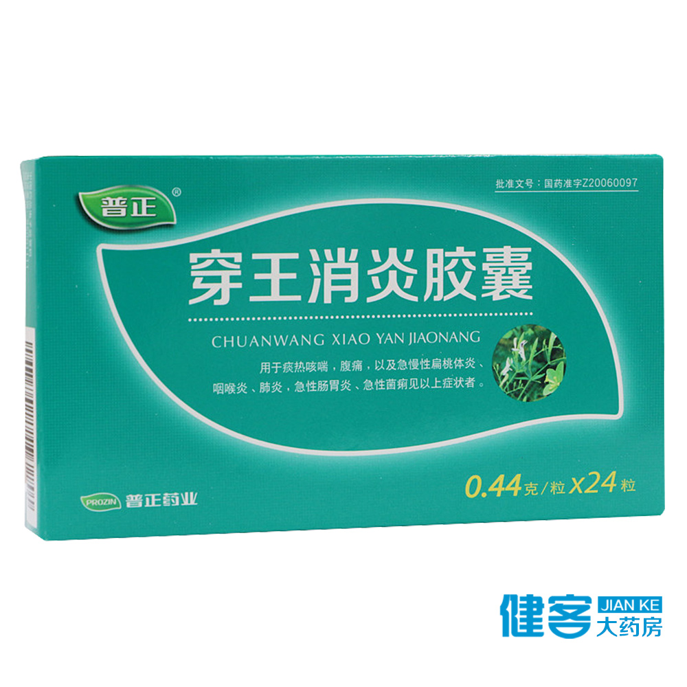 普正 穿王消炎胶囊 0.44g*24粒/盒