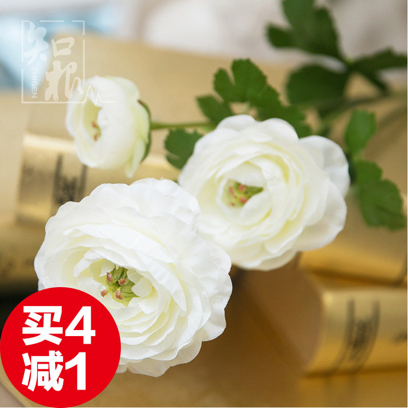 ֪���Ҿ���Ʒ���滨LL-009