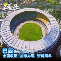 National acceptance of Brazilian Visa personal travel business visa urgent processing