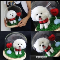 Wool felt finished product simulation than bear Teddy dog cat animal ornaments custom glass cover full body pet handmade DIY