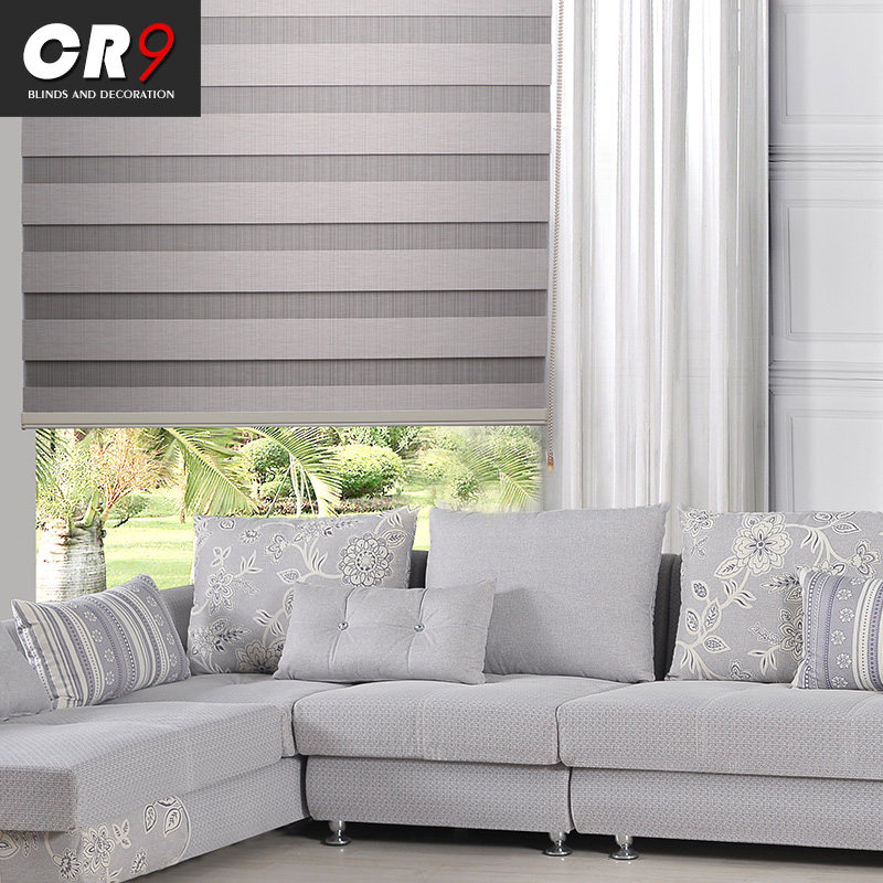 cr9������ɴ��˫�����SR2321