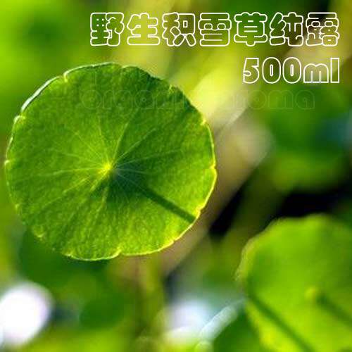 Natural wild saturated snow grass pure dew 500ml pimple closure Pacne repair soothing black head pores moisturizing