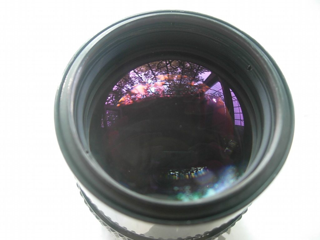 Nikon AI135mmf2 8 Classic Shots of the Classical Lens