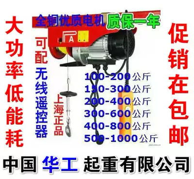 Micro electric crane 100-1000kg 220V household hoist small crane lift crane