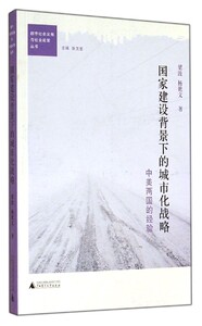 正版]国家建设背景下的城市化战略(中美两国的经验) 梁波 广西师大 9787549558315