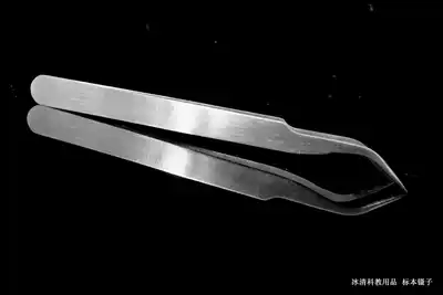 Insect specimen making elbow tweezers, insect wings, special tweezers, fine work, feel good